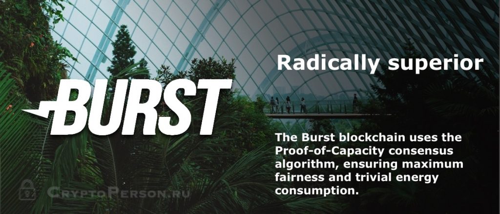 Burstcoin (BURST) – взрыв в криптовалютном мире